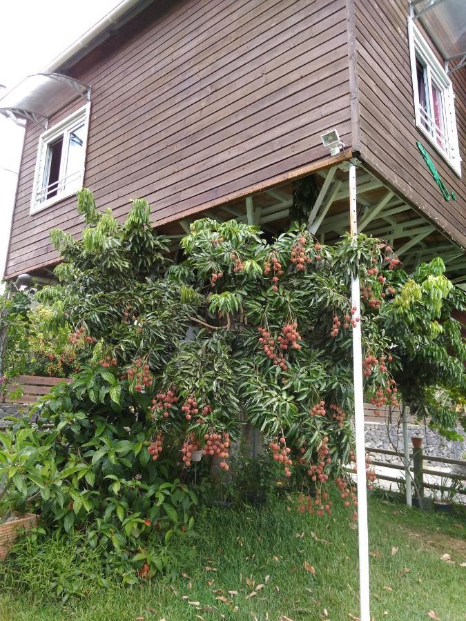 Villa ti kaz perchée à Entre-Deux Extérieur photo